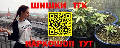 шишки Малгобек