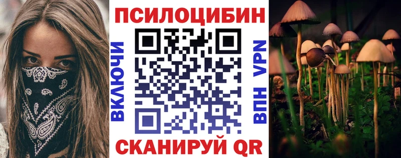 Псилоцибиновые грибы Psilocybe купить наркотики сайты Черемхово