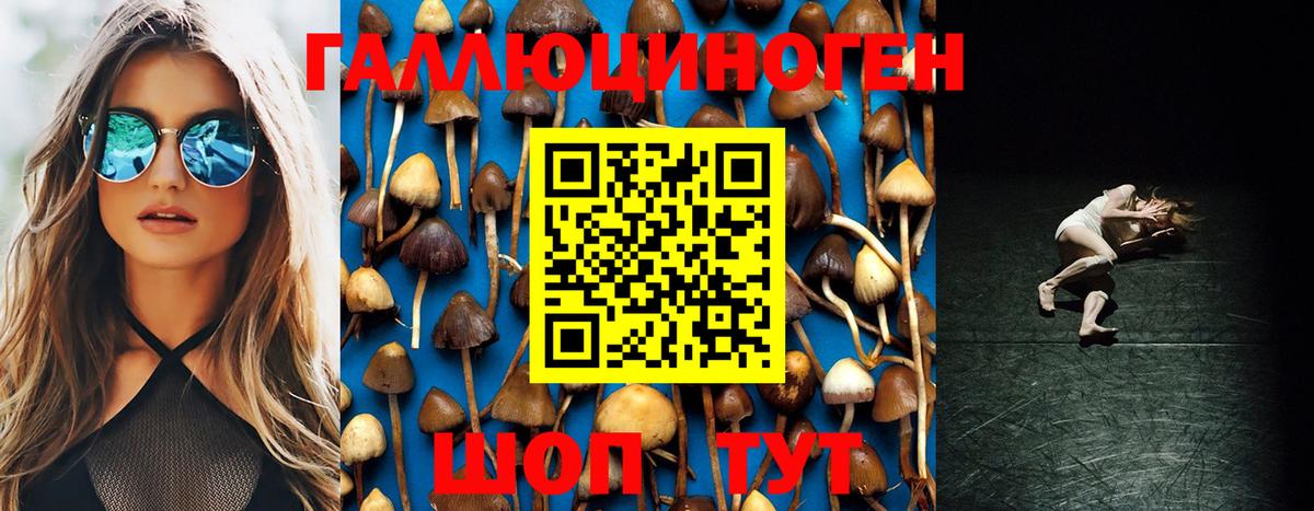 Псилоцибиновые грибы Psilocybine cubensis  Галлюциногенные грибы Magic Shrooms  Черемхово  Вход с VPN 